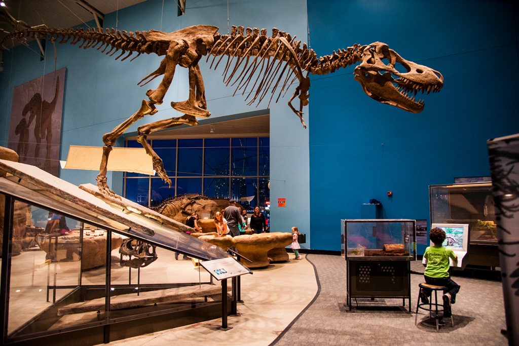 Tempat Mengejutkan untuk Menemukan Dinosaurus di Maryland